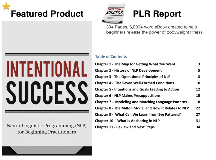 nlp-plr-report-mr